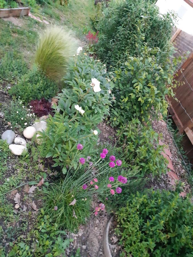 Atelier Natur'L Les Ronzieres Saint-Paul-d'Uzore Ngoại thất bức ảnh