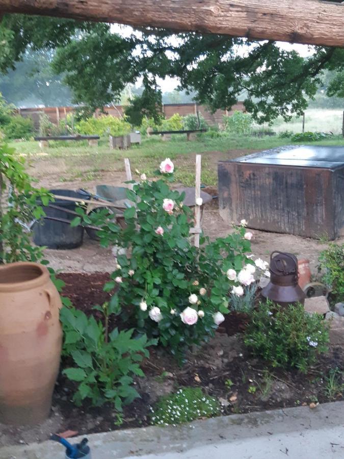Atelier Natur'L Les Ronzieres Saint-Paul-d'Uzore Ngoại thất bức ảnh